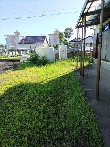 庭