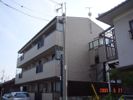 メゾンパルの間取り画像