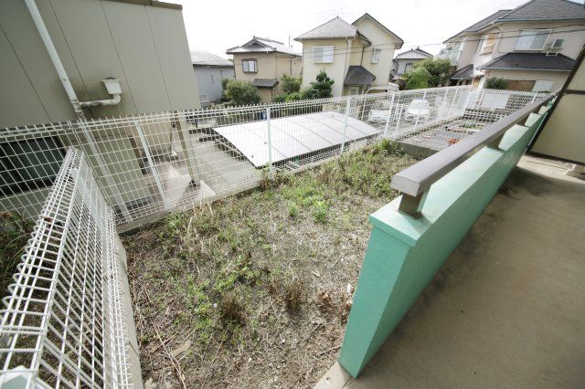 庭