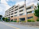 ヒルクレスト妙蓮寺の間取り画像