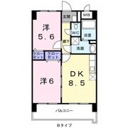 ヒルズ天神の間取り画像