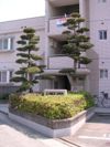 第2大野ビルの間取り画像