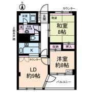 野毛山マンションの間取り画像