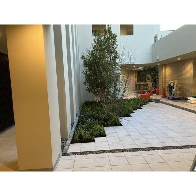 庭