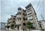 グリーンハイツ白山第1の間取り画像