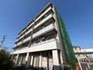 repos du coeurの外観