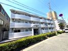 シャトラン弓木壱番館の間取り画像