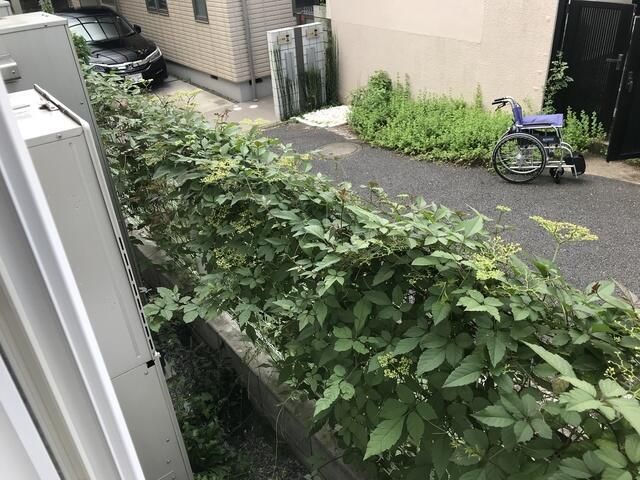 眺望