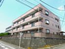 ペアパレス洋光台の間取り画像