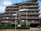 プラサ清華禎の間取り画像