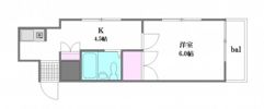 メゾンダイアナイン皆実の間取り画像