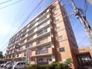 アンピールメゾン大橋の間取り画像