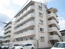 ベルメゾン古川1の間取り画像