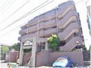 グリュック7二子玉川の間取り画像