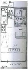 ARCO15の間取り画像
