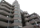 ライオンズマンション和光本町の間取り画像