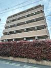 メインステージ永福町の間取り画像