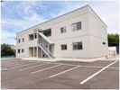 Balalaikaの外観