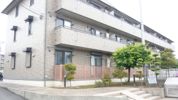 キャロルステージISHIIの間取り画像