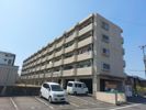 第95杉フラットの間取り画像
