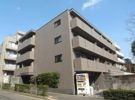 ルーブル中野新橋弐番館の間取り画像