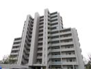 サーパス学南町の間取り画像