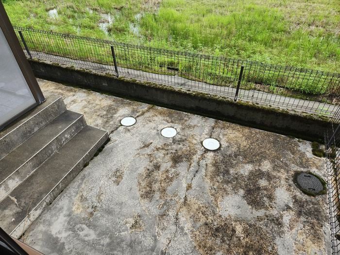 庭