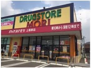 ドラッグストアモリ上葛原店(640m)