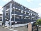 グランテラス柏木の間取り画像
