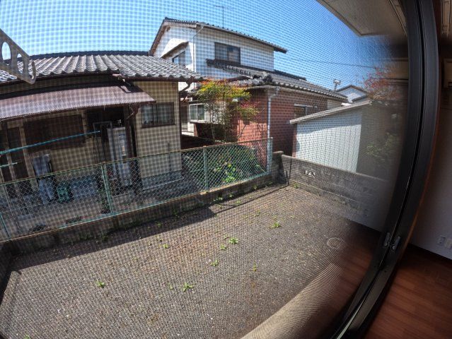 庭