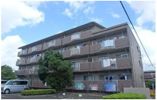 サンハイツ白山の間取り画像
