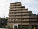 メインステージTOKYO・NORTH HY’sの間取り画像
