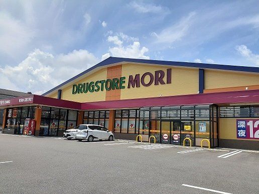 ドラッグストアモリ日知屋店まで1100m