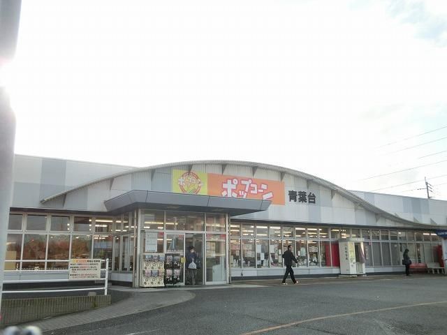 ポップコーン青葉台店 (543m)