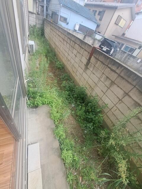 庭