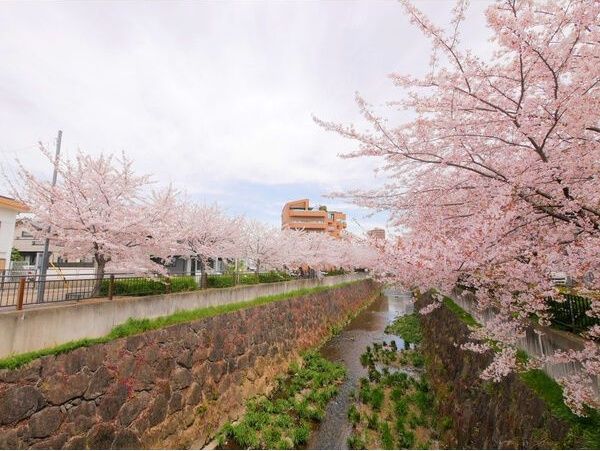 近くに施設あり