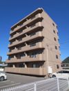 Peace House MⅢの間取り画像