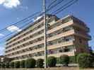 ピュア・ドミトリーシミズの間取り画像