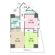 パールモア新井堂の間取り画像