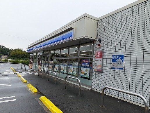 ローソン野田3丁目店まで1100m