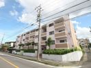 シティライフ焼山の間取り画像