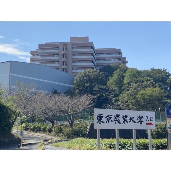 大学「東京農業大学 厚木キャンパスまで1300m」