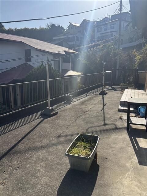 庭