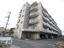 Tierra芳泉Ⅱの間取り画像