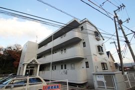 ヴィラウエスギの外観画像