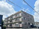 メゾンマロニエの間取り画像