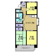 メゾン島田の間取り画像