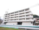 ビブレ折尾 501号室の間取り画像
