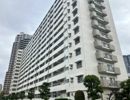 シティコープ豊洲の間取り画像