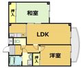 マンショングレースの間取り画像